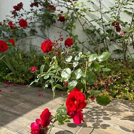 Maison Des Larris - Proche Aeroport - Navette Gare Beauvais