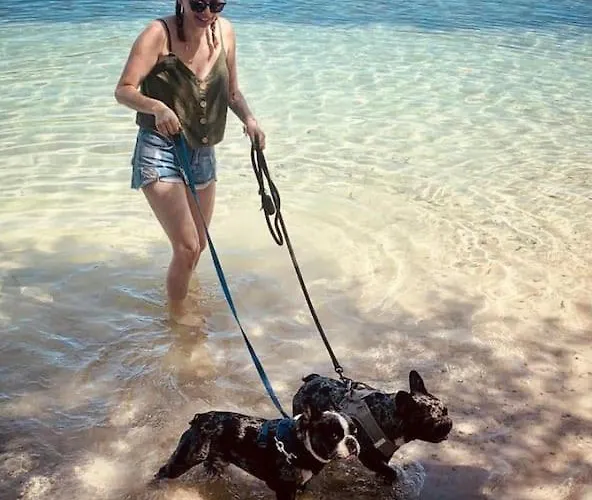 Holiday home Maison Des Larris - Proche Aeroport - Navette Gare *