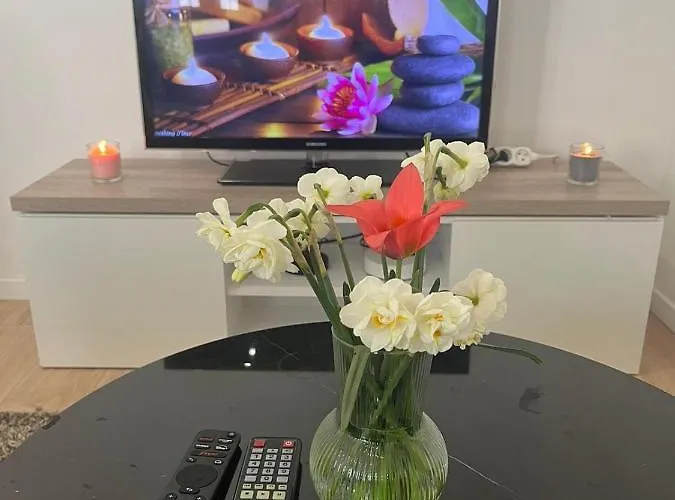 Holiday home Maison Des Larris - Proche Aeroport - Navette Gare