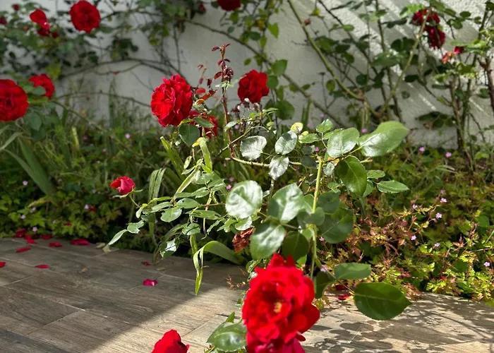 Maison Des Larris - Proche Aeroport - Navette Gare Beauvais